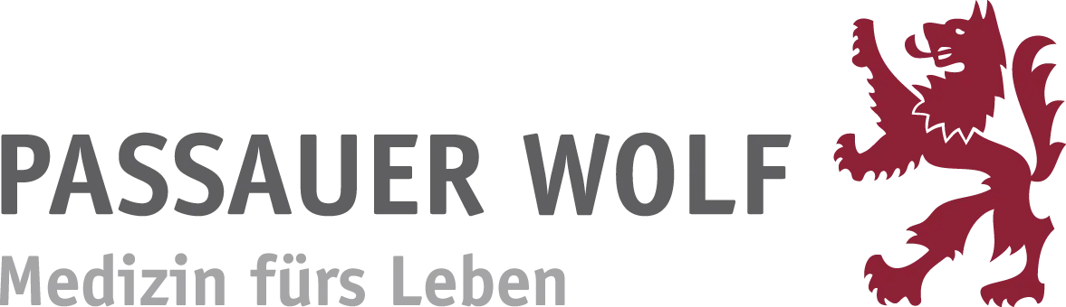 rehaklinik passauer wolf neurologische therapie